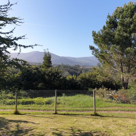 The Crags Elephant Country Guest House מראה חיצוני תמונה