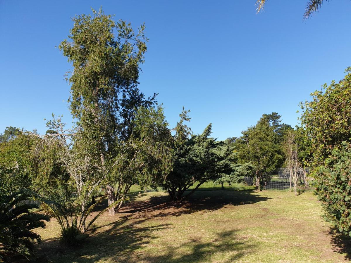 The Crags Elephant Country Guest House מראה חיצוני תמונה